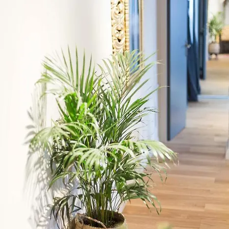 Apartman Sweet Centre Historique 65 M2